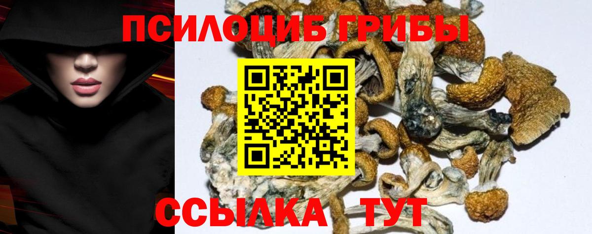 Псилоцибиновые грибы Magic Shrooms  Вход с VPN  Осинники 